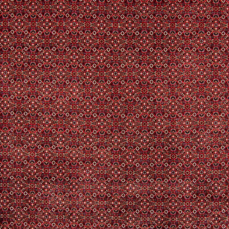 Bidjar Rug 400x308cm - Persian Rugs