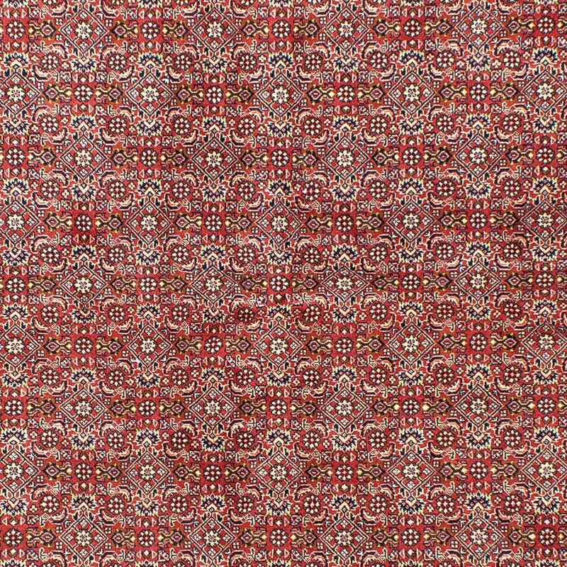 Perser Rug - Bidjar - 245 x 170 cm - light red