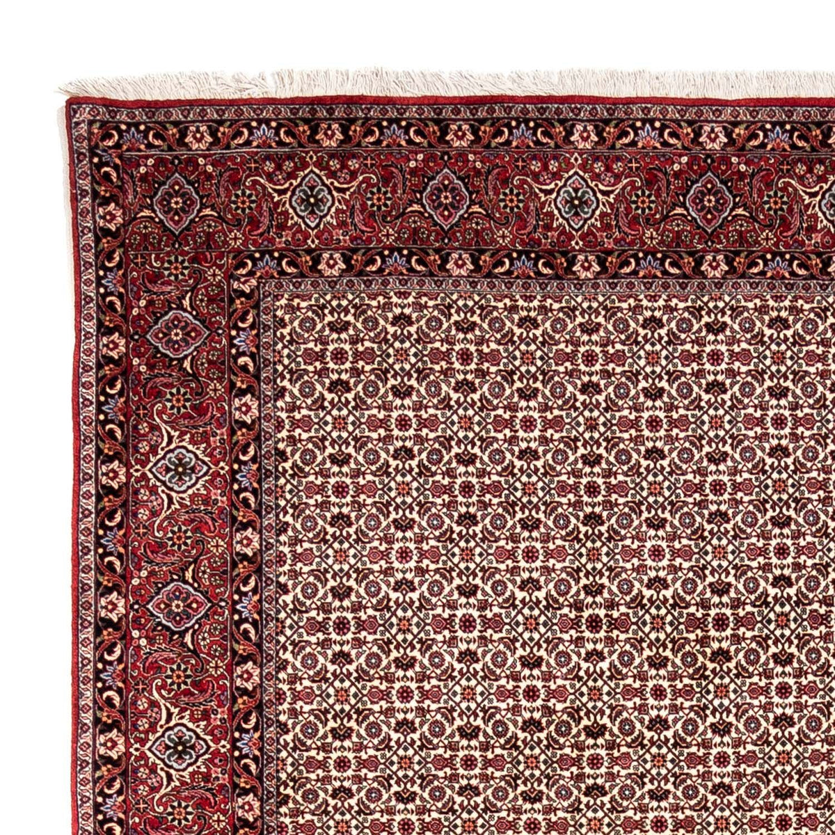 Perser Rug - Bidjar - 343 x 253 cm - beige