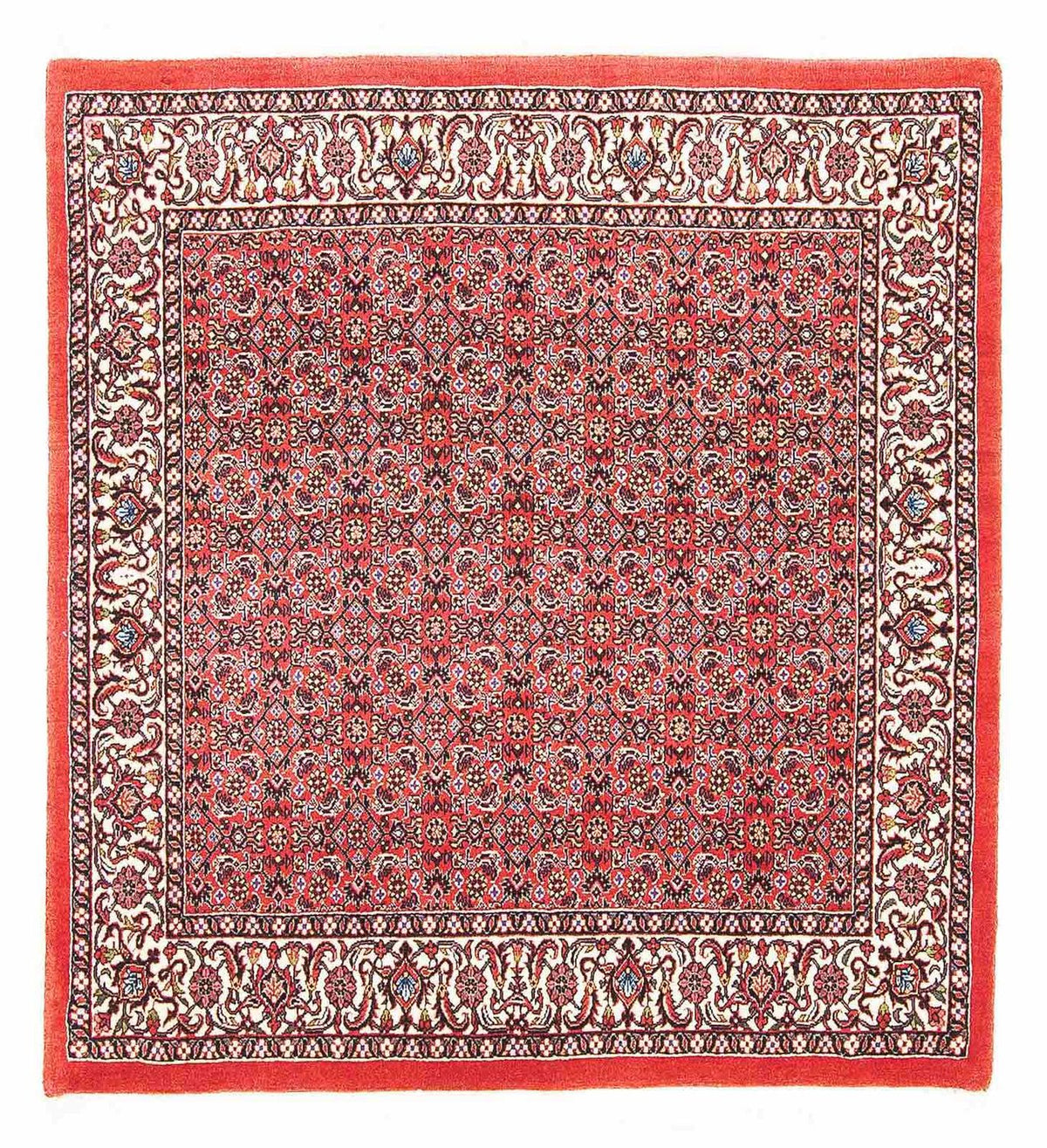 Perser Rug - Bidjar square  - 105 x 101 cm - red