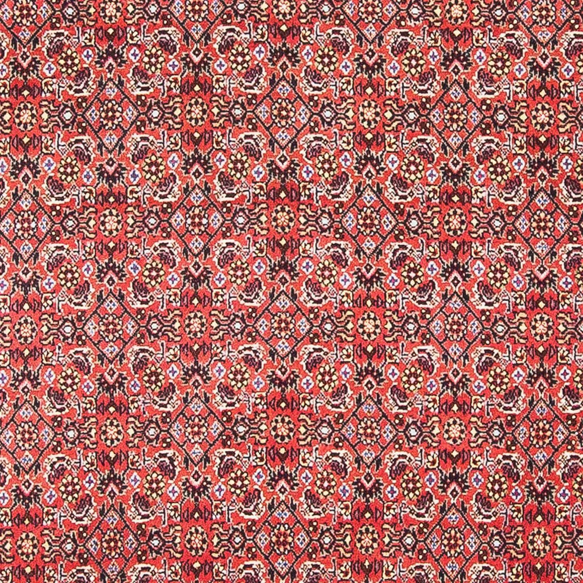 Perser Rug - Bidjar square  - 105 x 101 cm - red