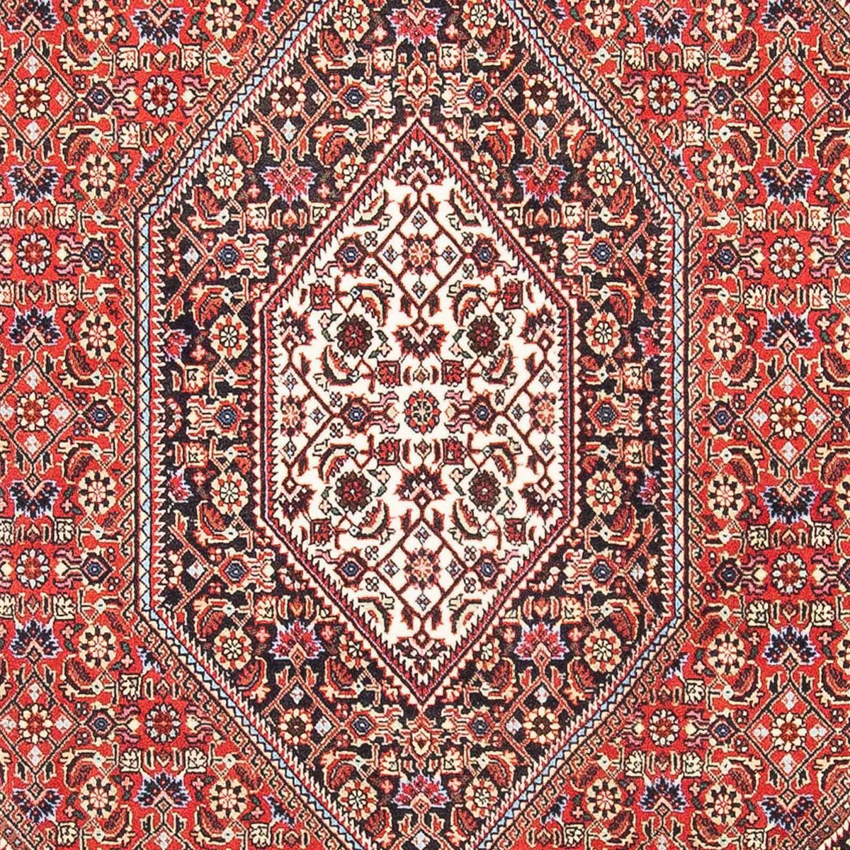 Perser Rug - Bidjar - 173 x 110 cm - light red