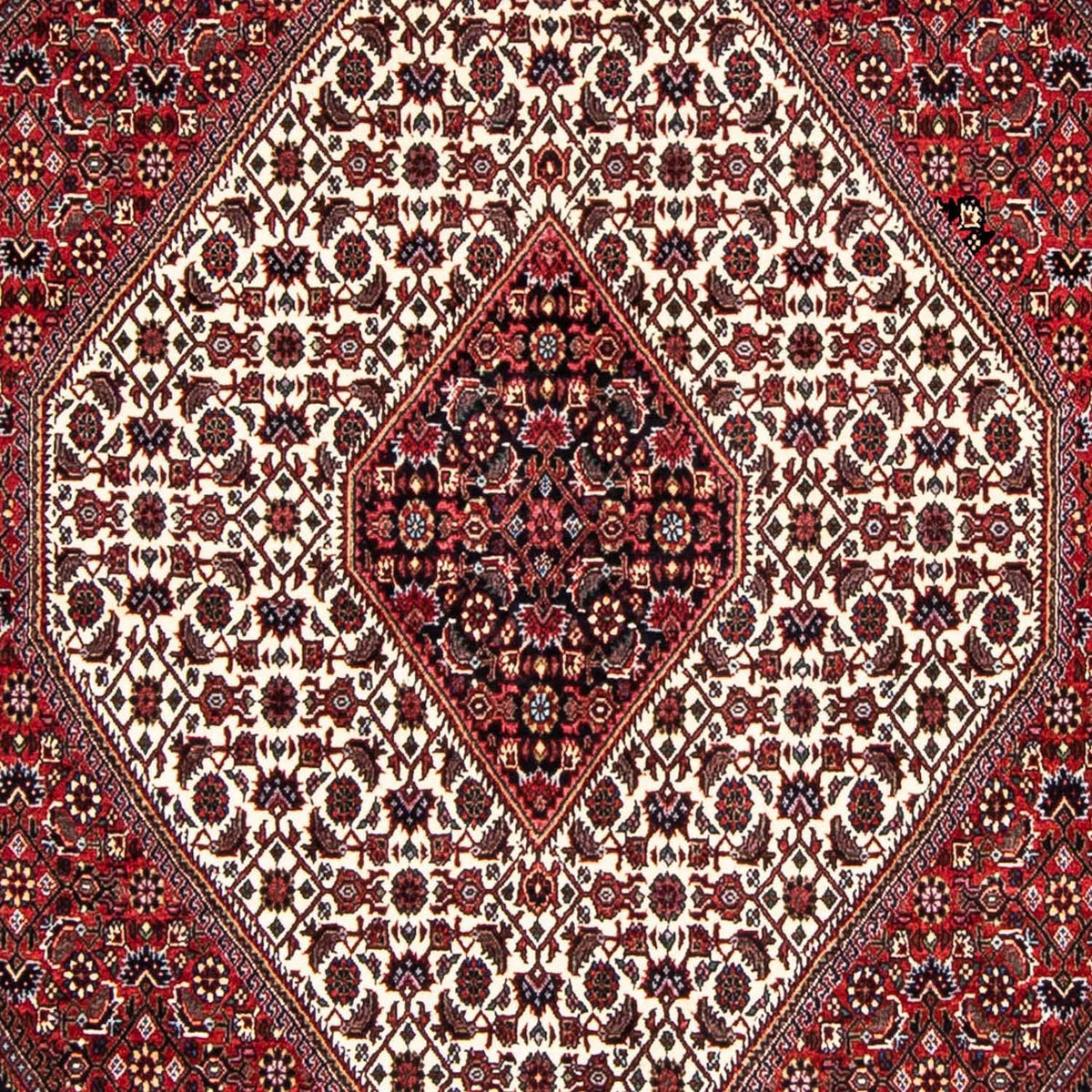 Perser Rug - Bidjar - 236 x 172 cm - dark red