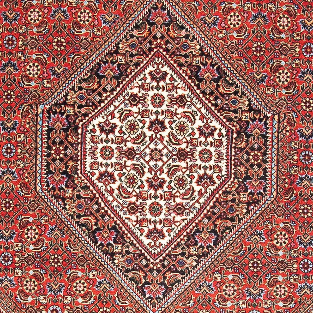 Perser Rug - Bidjar - 174 x 112 cm - light red