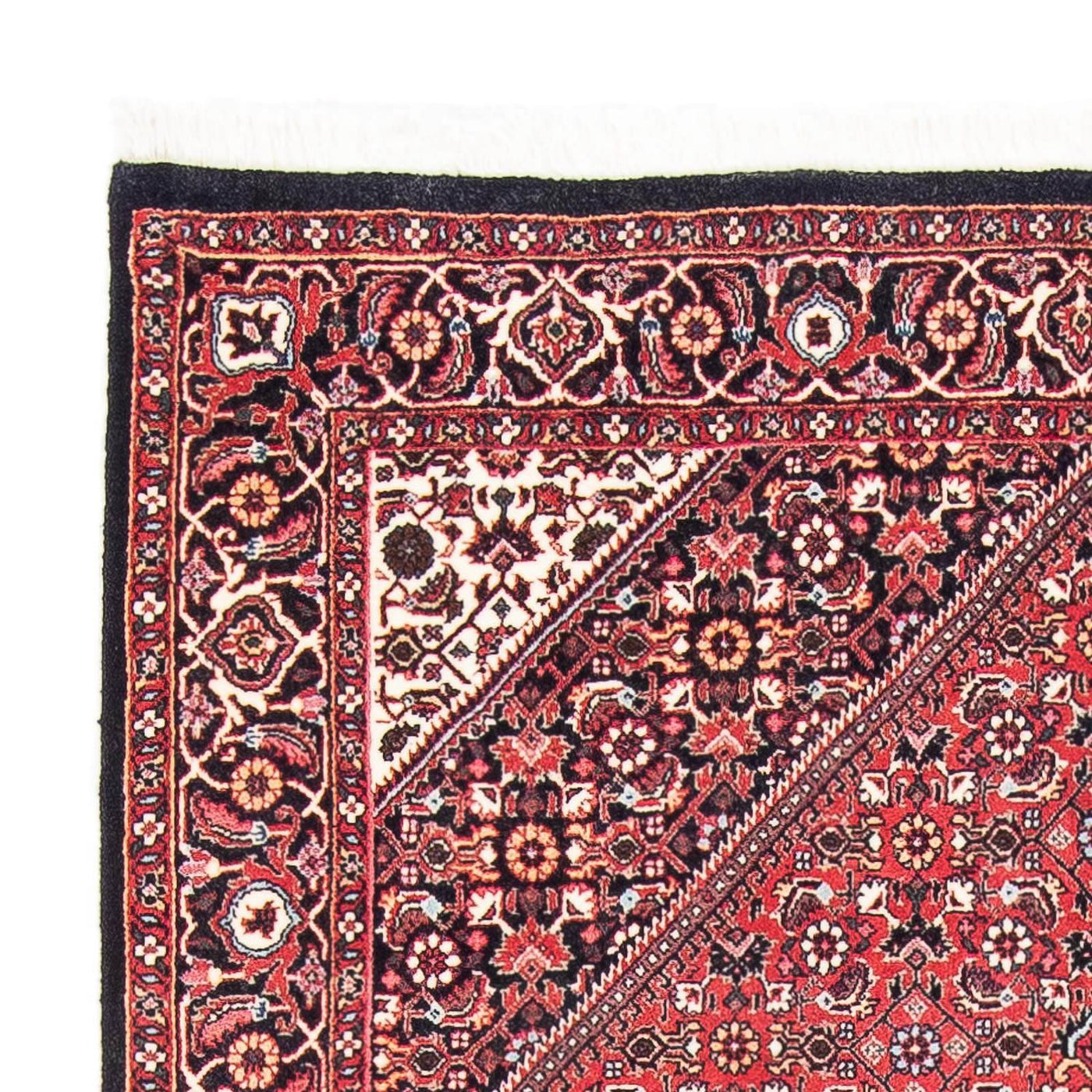 Bidjar Rug 185x111cm - Persian Rugs