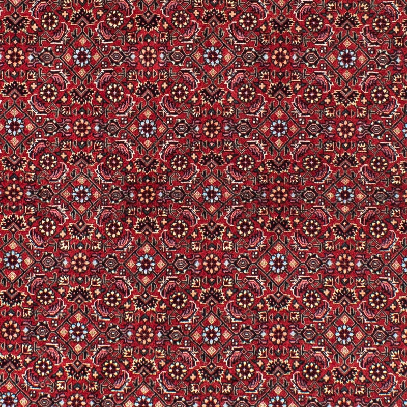 Bidjar Rug 150x150cm - Persian Rugs