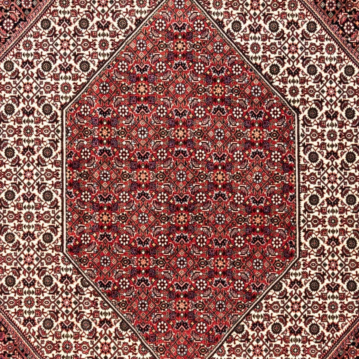 Perser Rug - Bidjar - 353 x 250 cm - red