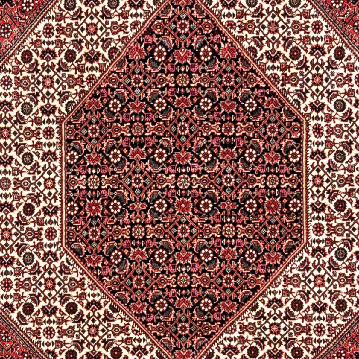 Perser Rug - Bidjar - 350 x 252 cm - red