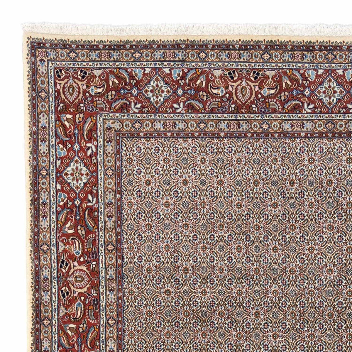 Perser Rug - Classic - 334 x 248 cm - beige