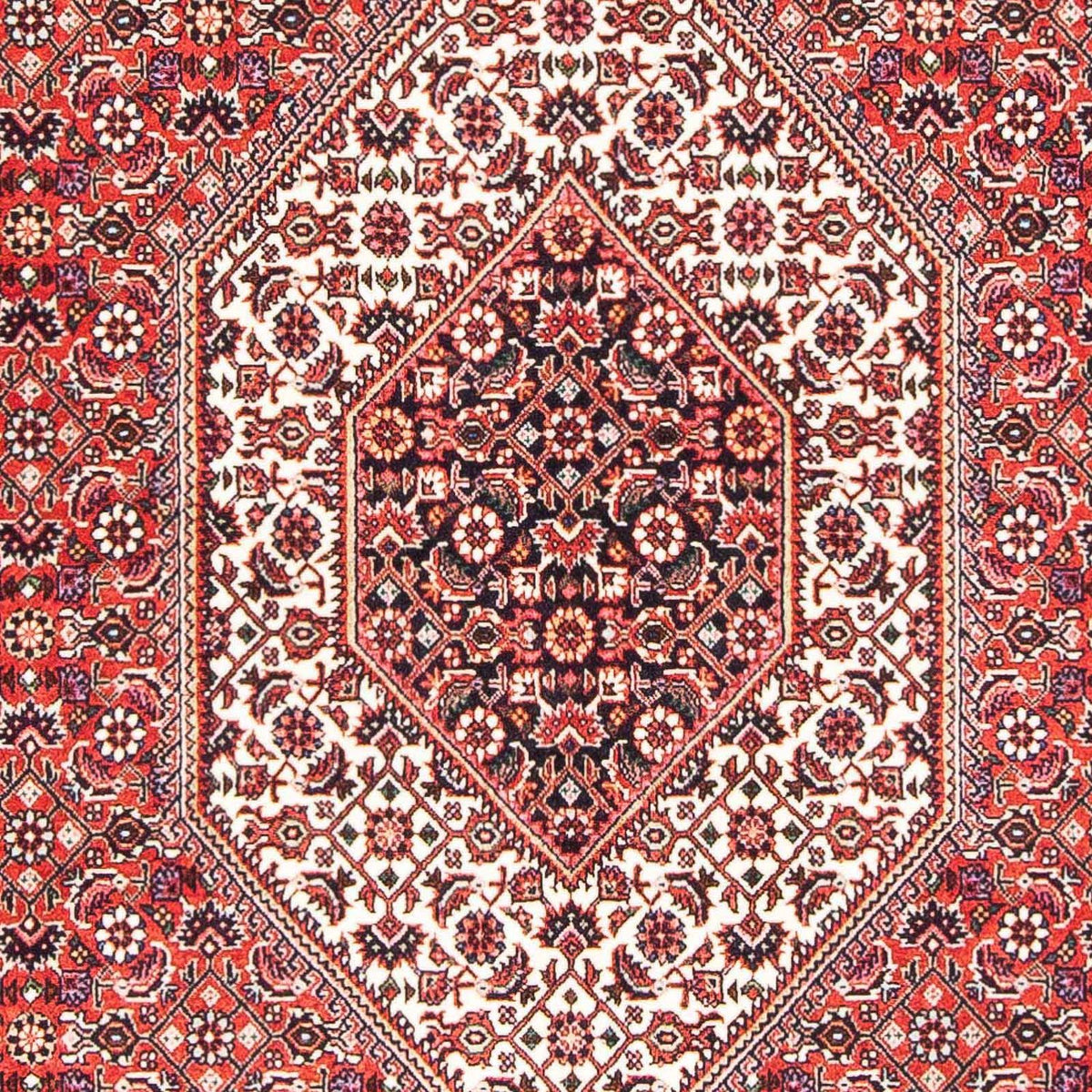 Perser Rug - Bidjar - 181 x 108 cm - red