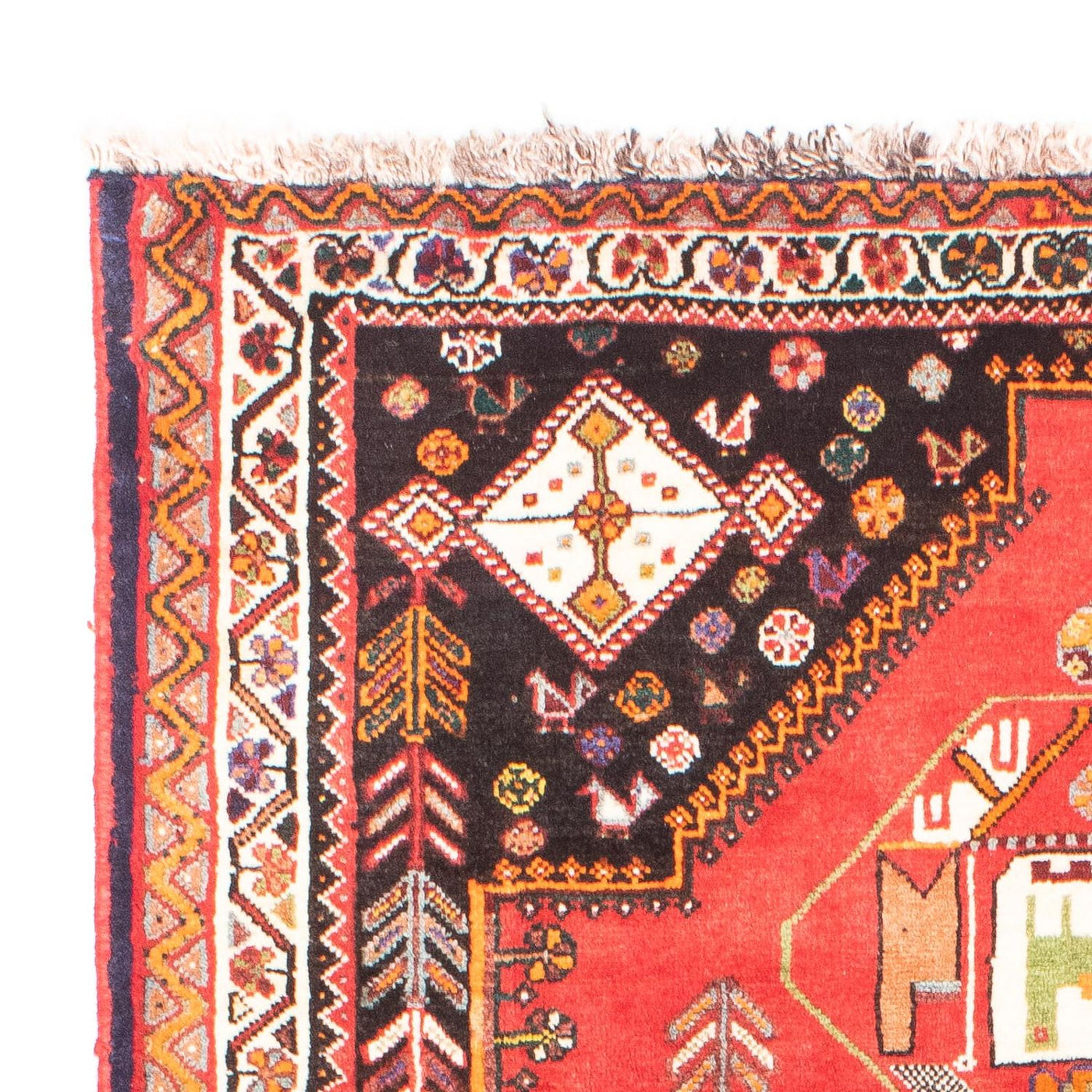 Qashqai Rug 165x118cm - Persian Rugs
