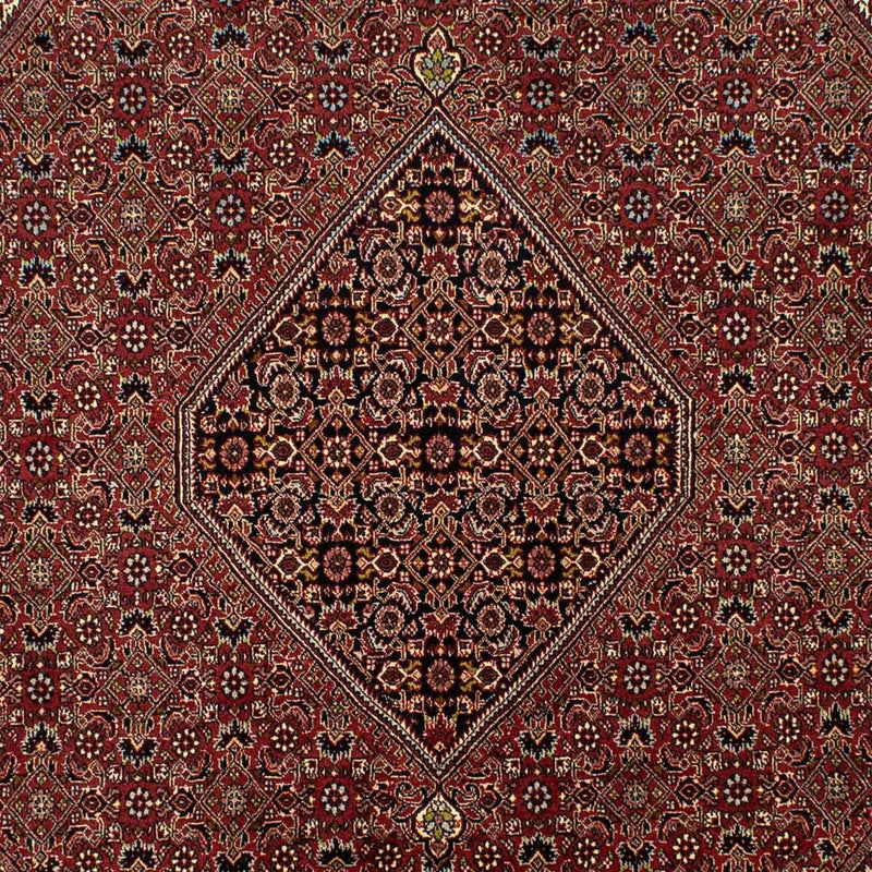 Perser Rug - Bidjar - 295 x 200 cm - brown