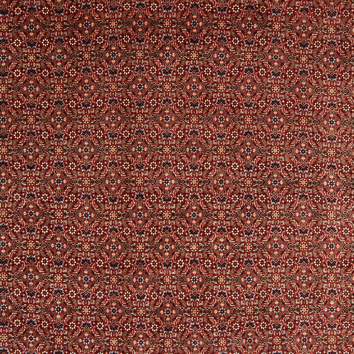 Perser Rug - Bidjar - 340 x 254 cm - dark red