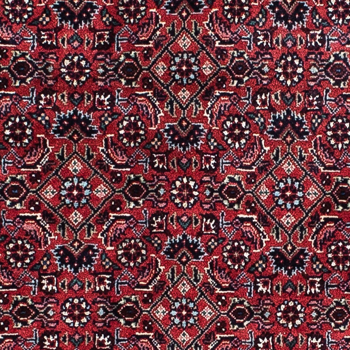 Perser Rug - Bidjar - 207 x 132 cm - light red