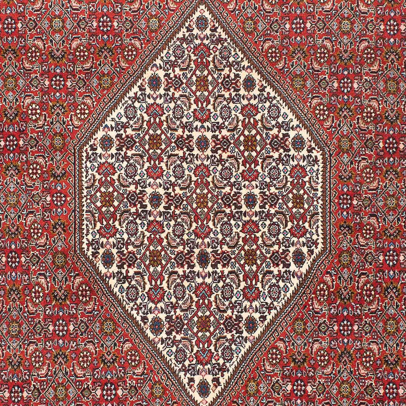 Perser Rug - Bidjar - 225 x 136 cm - red