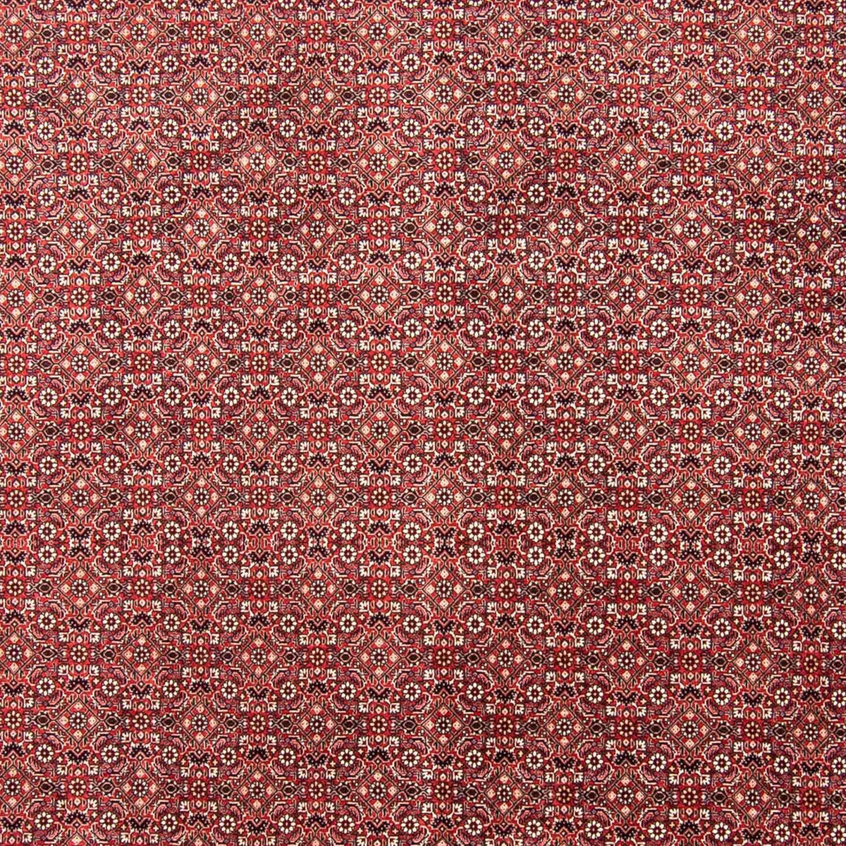 Perser Rug - Bidjar - 350 x 245 cm - red