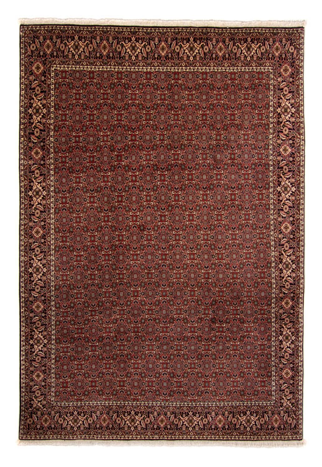 Perser Rug - Bidjar - 342 x 244 cm - brown