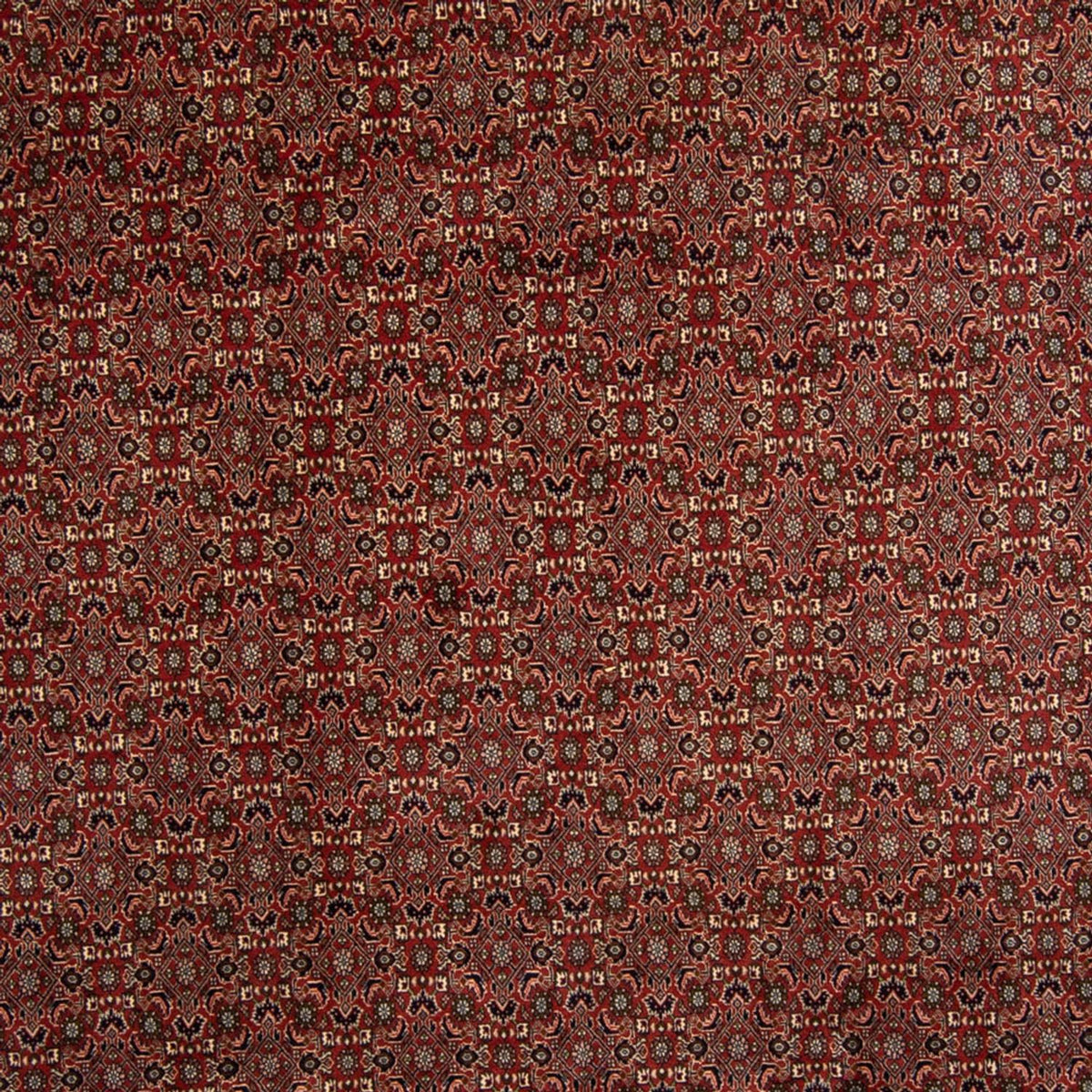 Perser Rug - Bidjar - 342 x 244 cm - brown