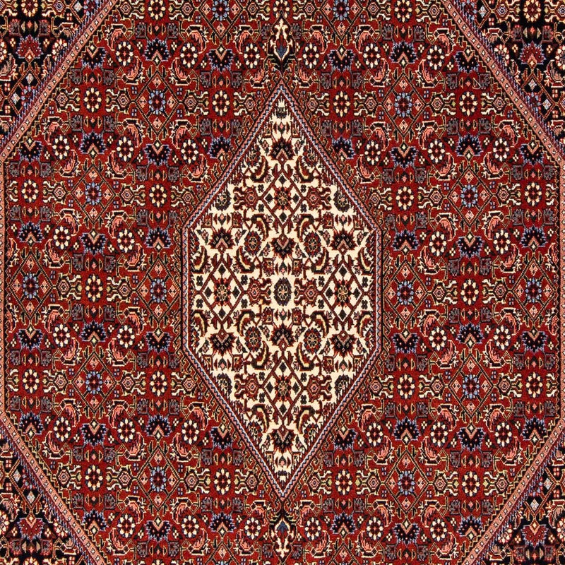 Bidjar Rug 241x170cm - Persian Rugs