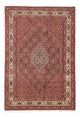 Bidjar Rug 246x171cm - Persian Rugs