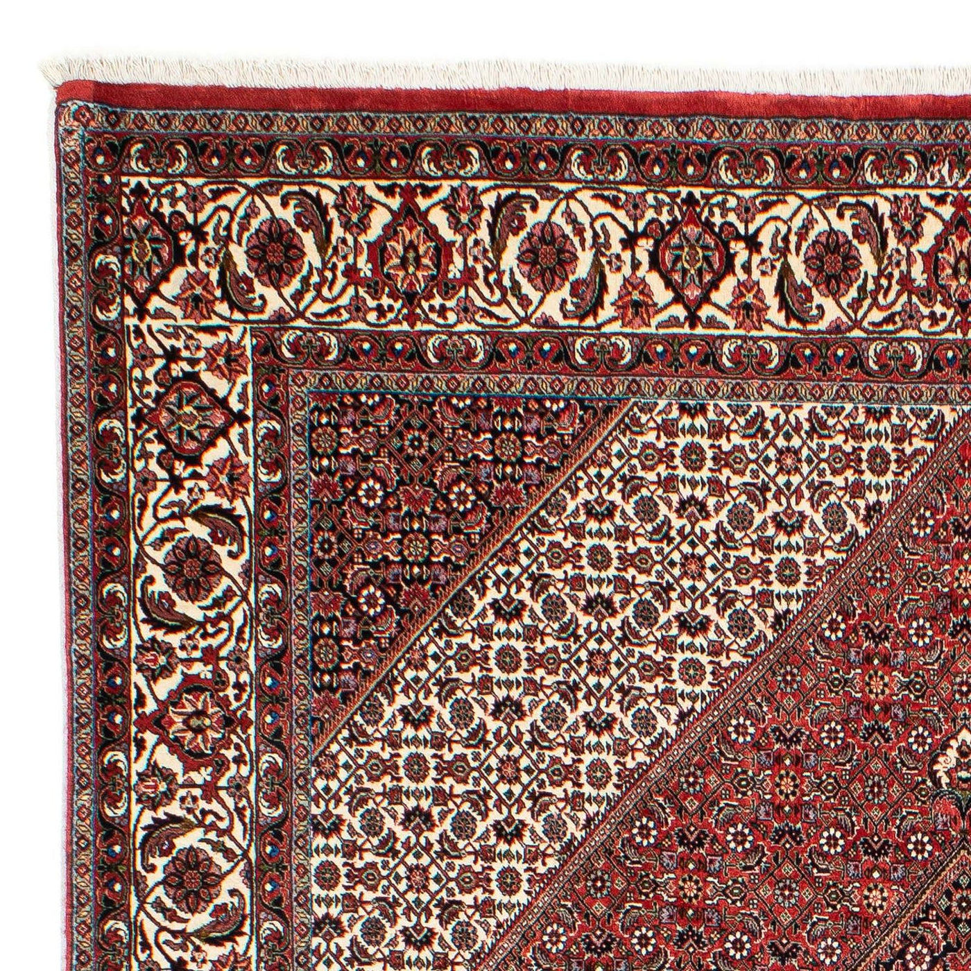 Bidjar Rug 294x204cm - Persian Rugs