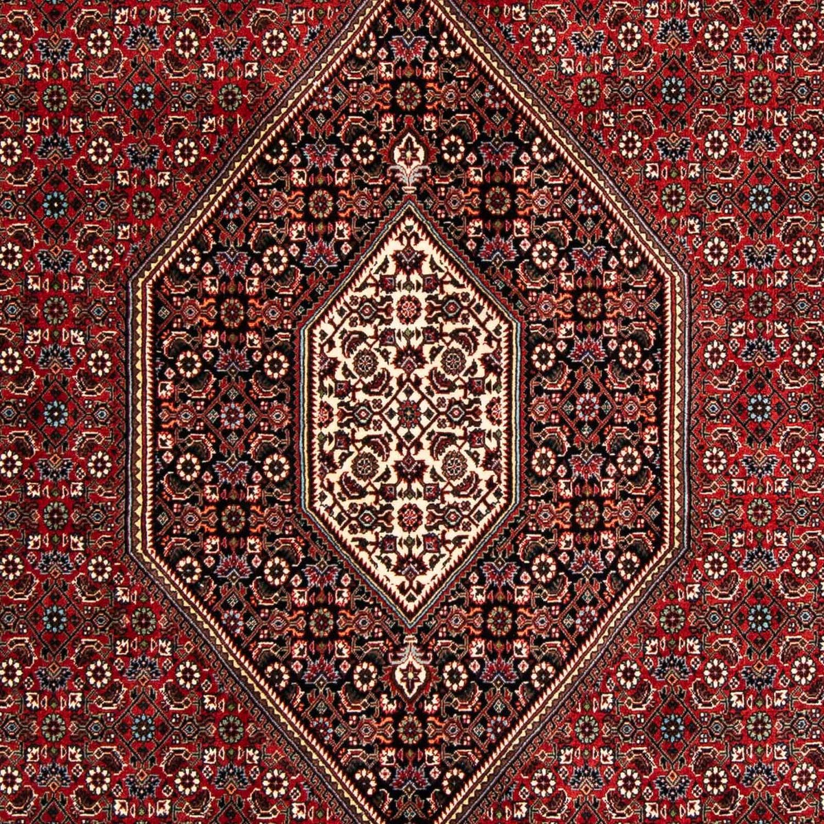 Perser Rug - Bidjar - 258 x 169 cm - dark red
