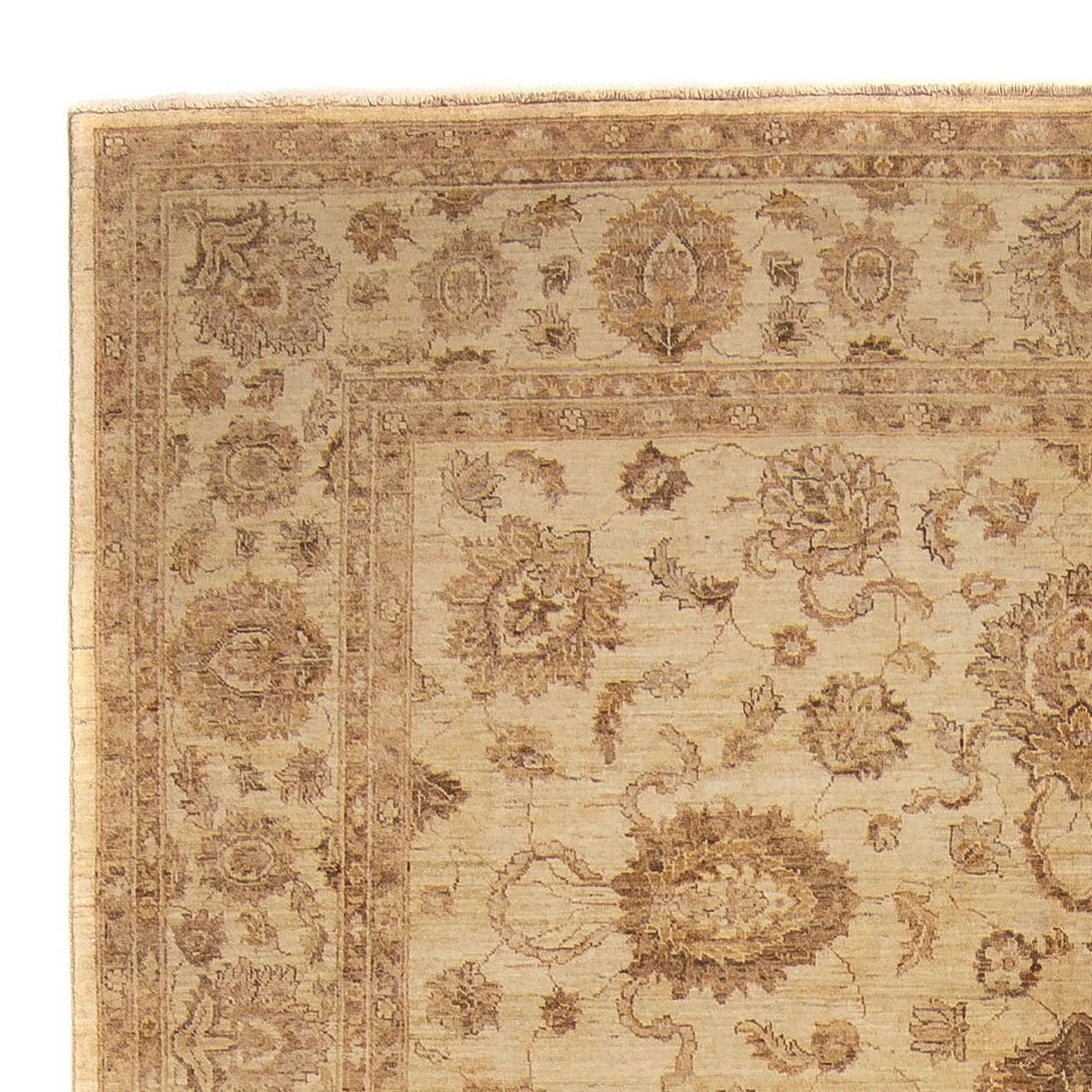 Ziegler Rug 296x238cm - Oriental Rug