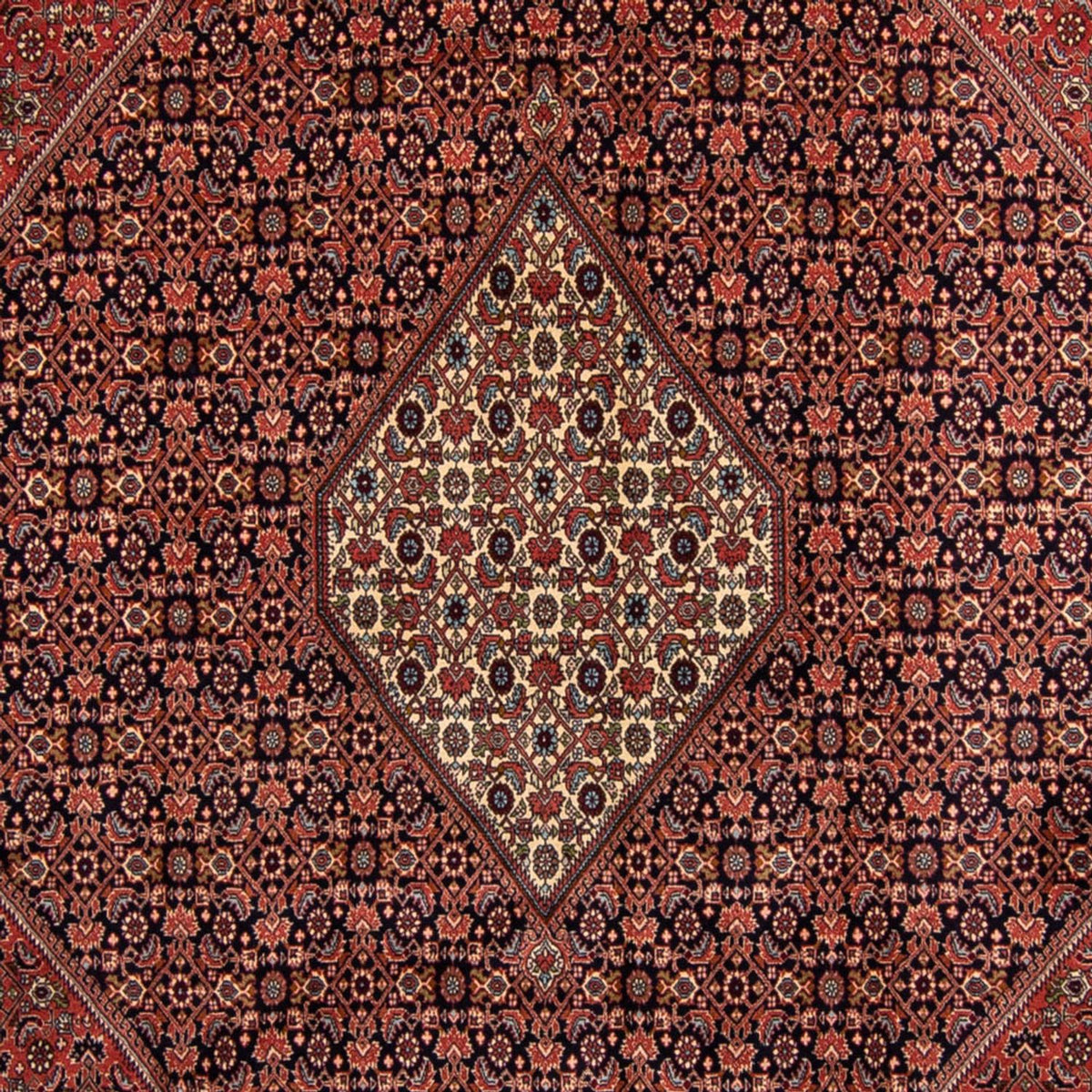 Perser Rug - Bidjar - 350 x 249 cm - brown