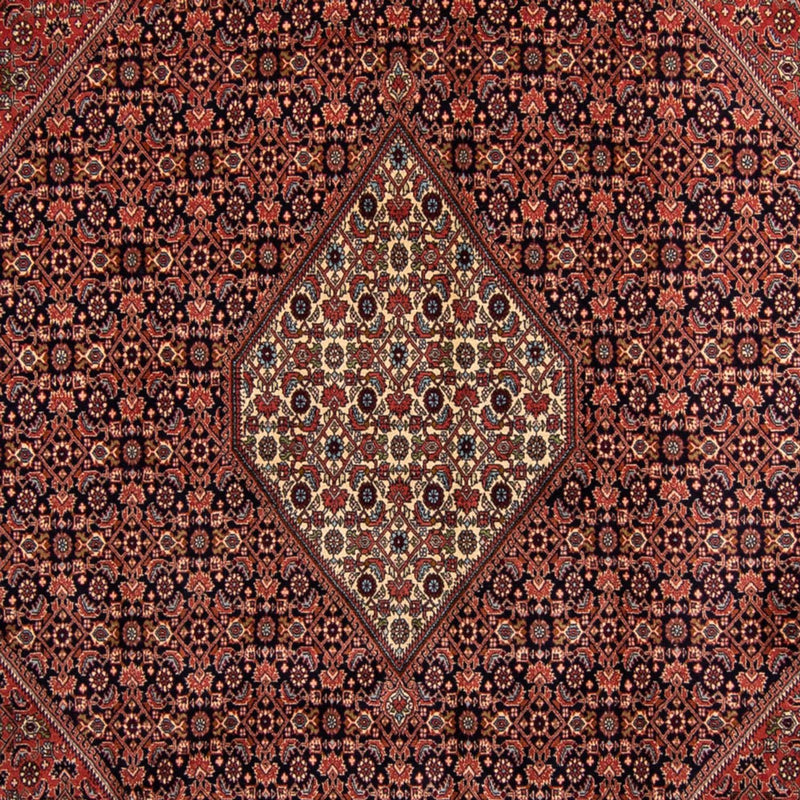 Perser Rug - Bidjar - 350 x 249 cm - brown
