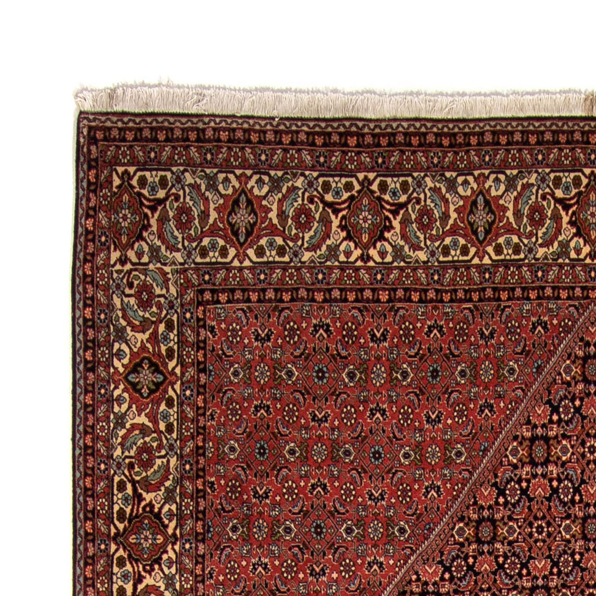 Perser Rug - Bidjar - 350 x 249 cm - brown