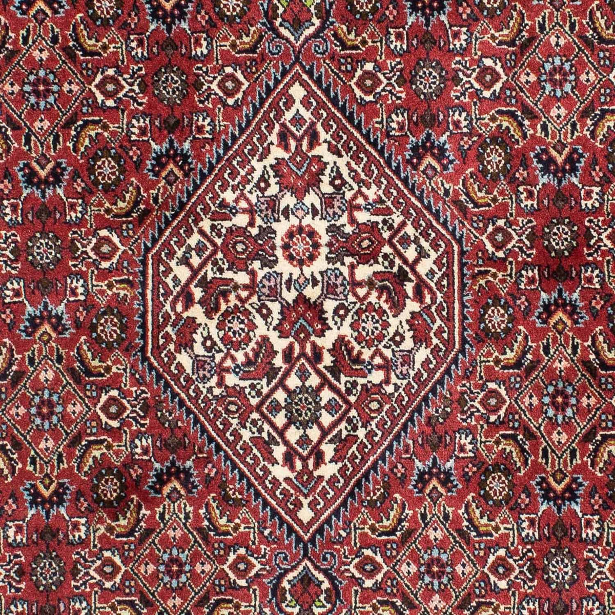 Perser Rug - Bidjar - 210 x 141 cm - red
