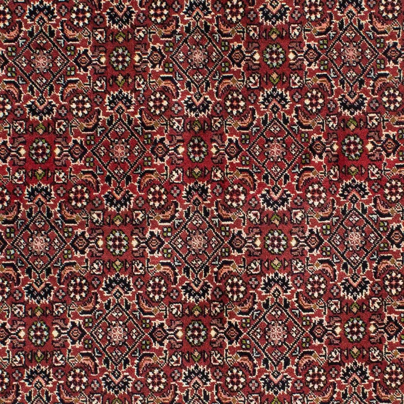 Perser Rug - Bidjar - 208 x 139 cm - red