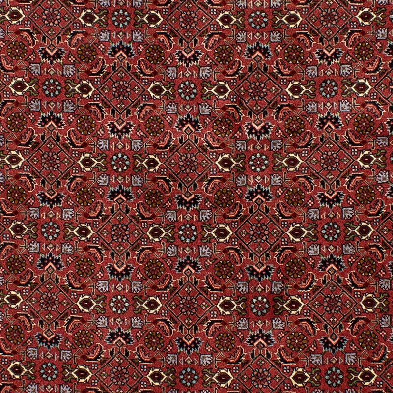 Bidjar Rug 205x136cm - Persian Rugs