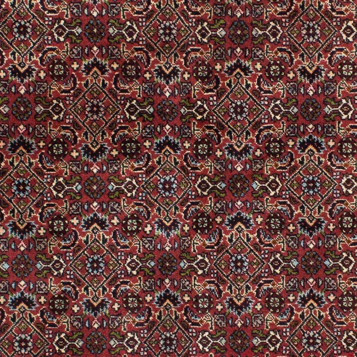 Perser Rug - Bidjar - 205 x 141 cm - red
