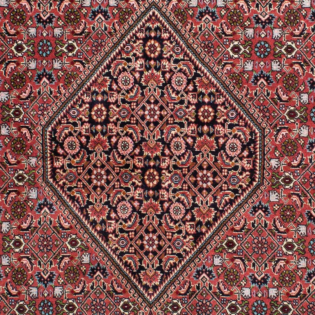 Perser Rug - Bidjar - 233 x 140 cm - red