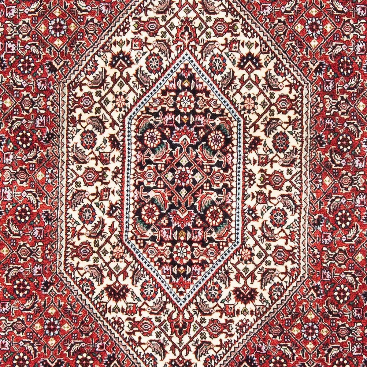 Perser Rug - Bidjar - 178 x 108 cm - red