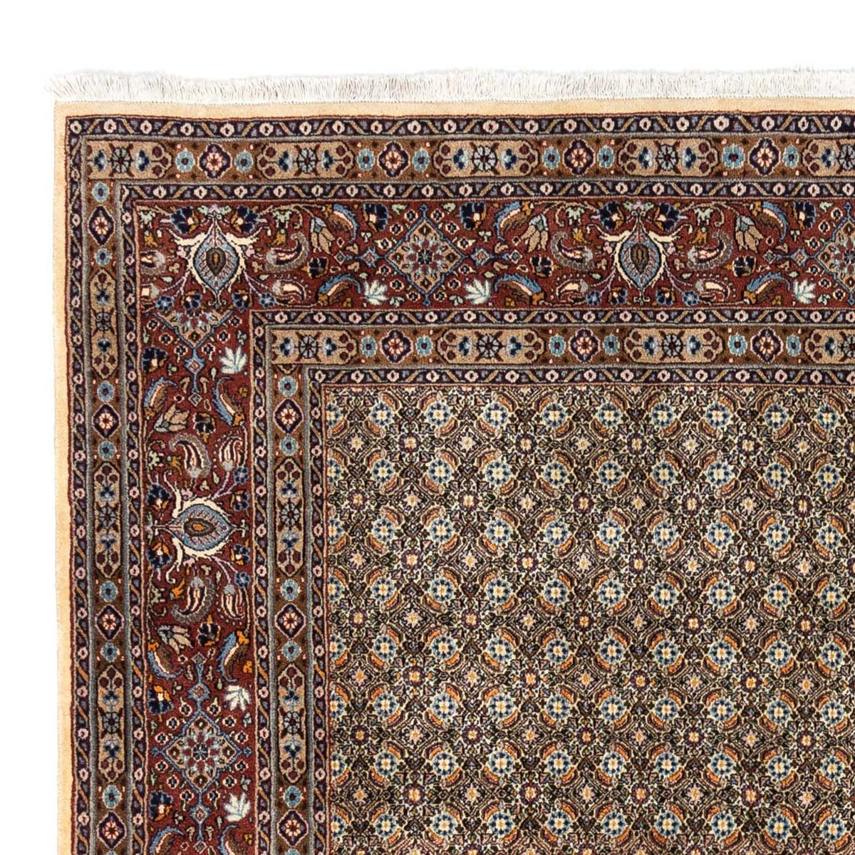 Perser Rug - Classic - 288 x 243 cm - beige