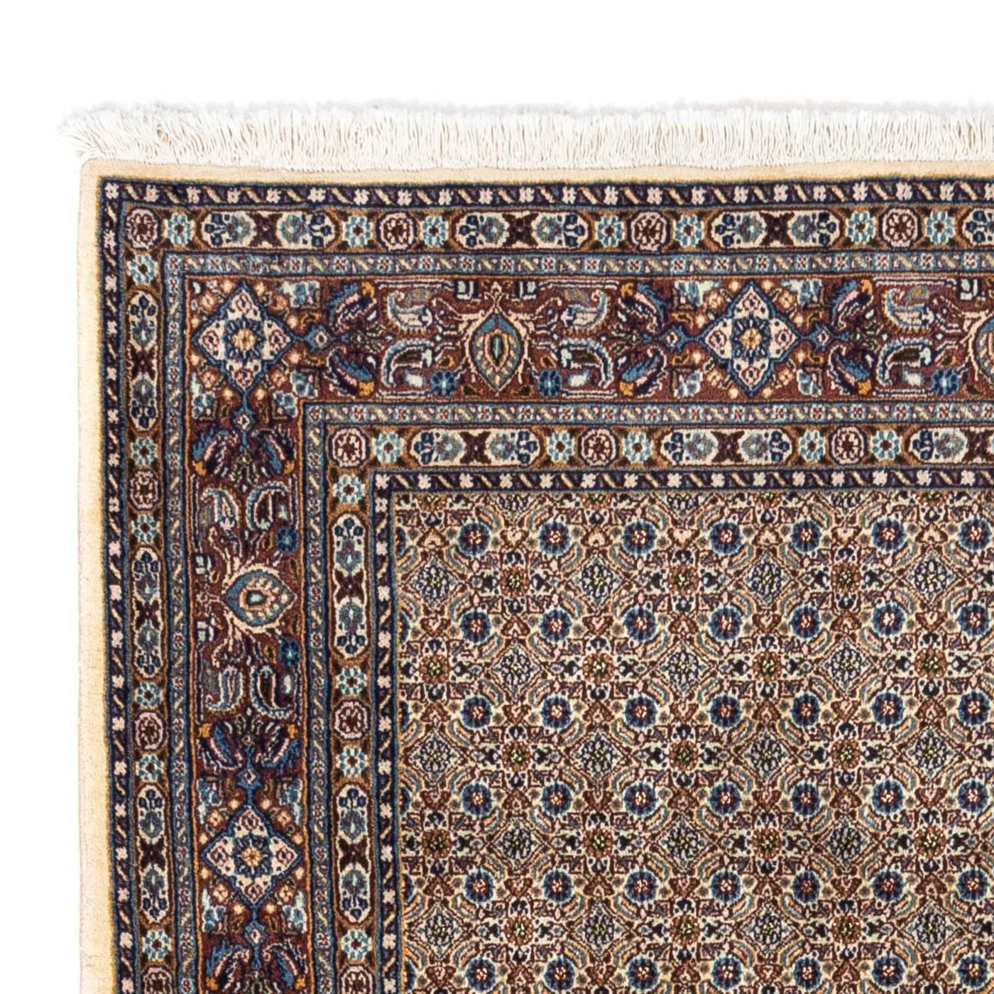 Moud Rug 251x160cm - Persian Rugs