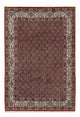 Moud Rug 200x288cm - Persian Rugs