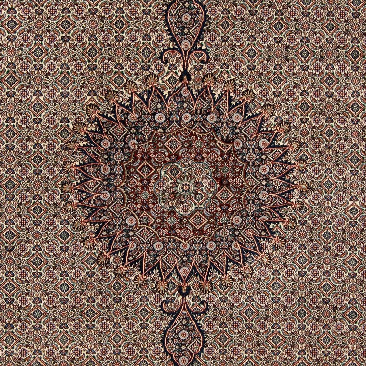 Perser Rug - Classic - 305 x 202 cm - beige