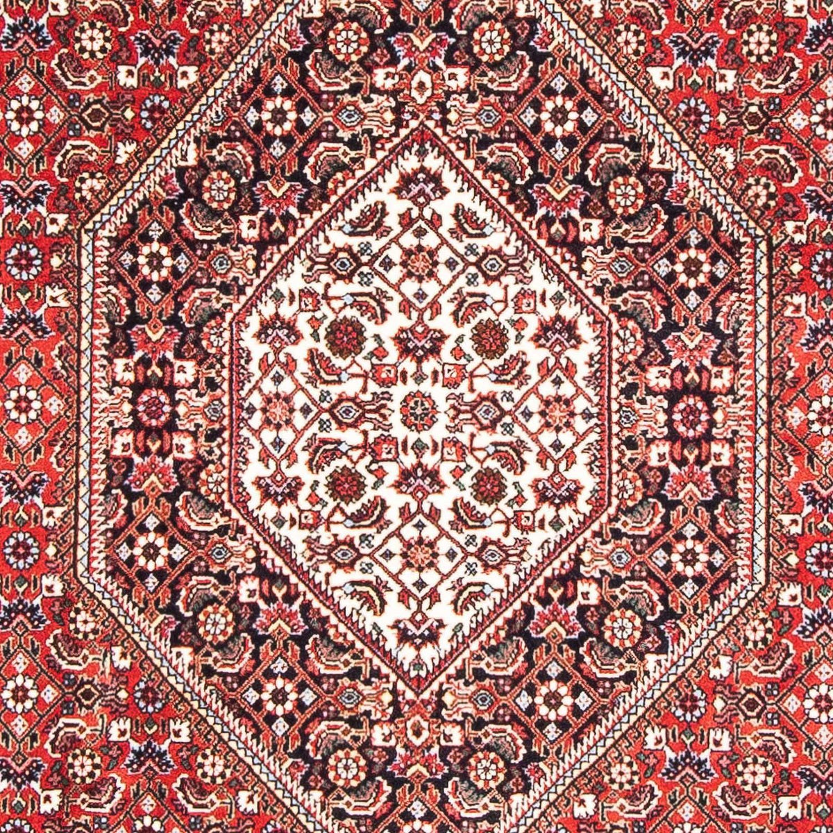 Perser Rug - Bidjar - 180 x 113 cm - red