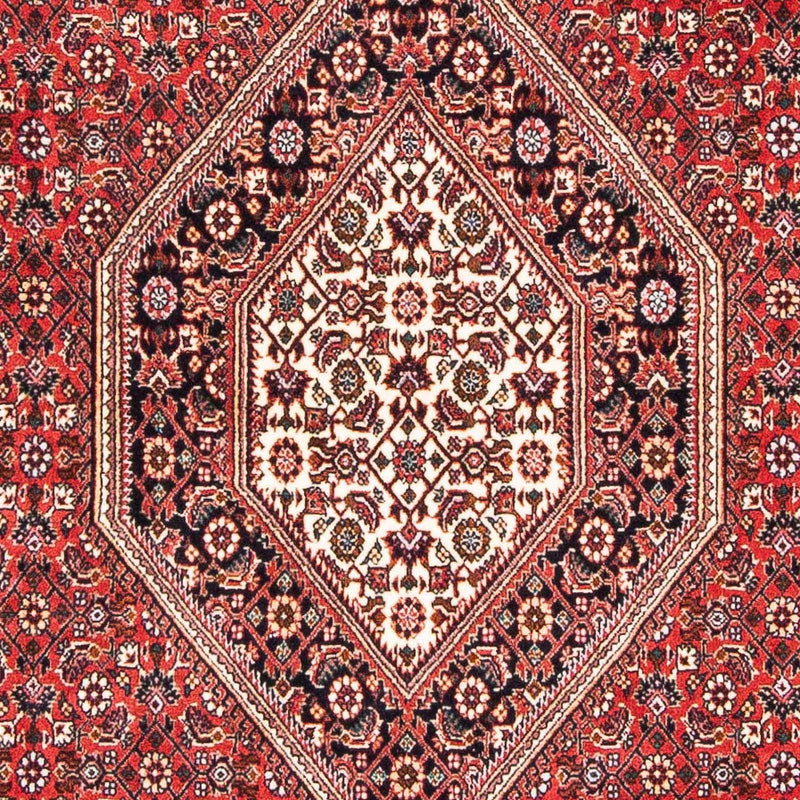 Bidjar Rug 181x110cm - Persian Rugs