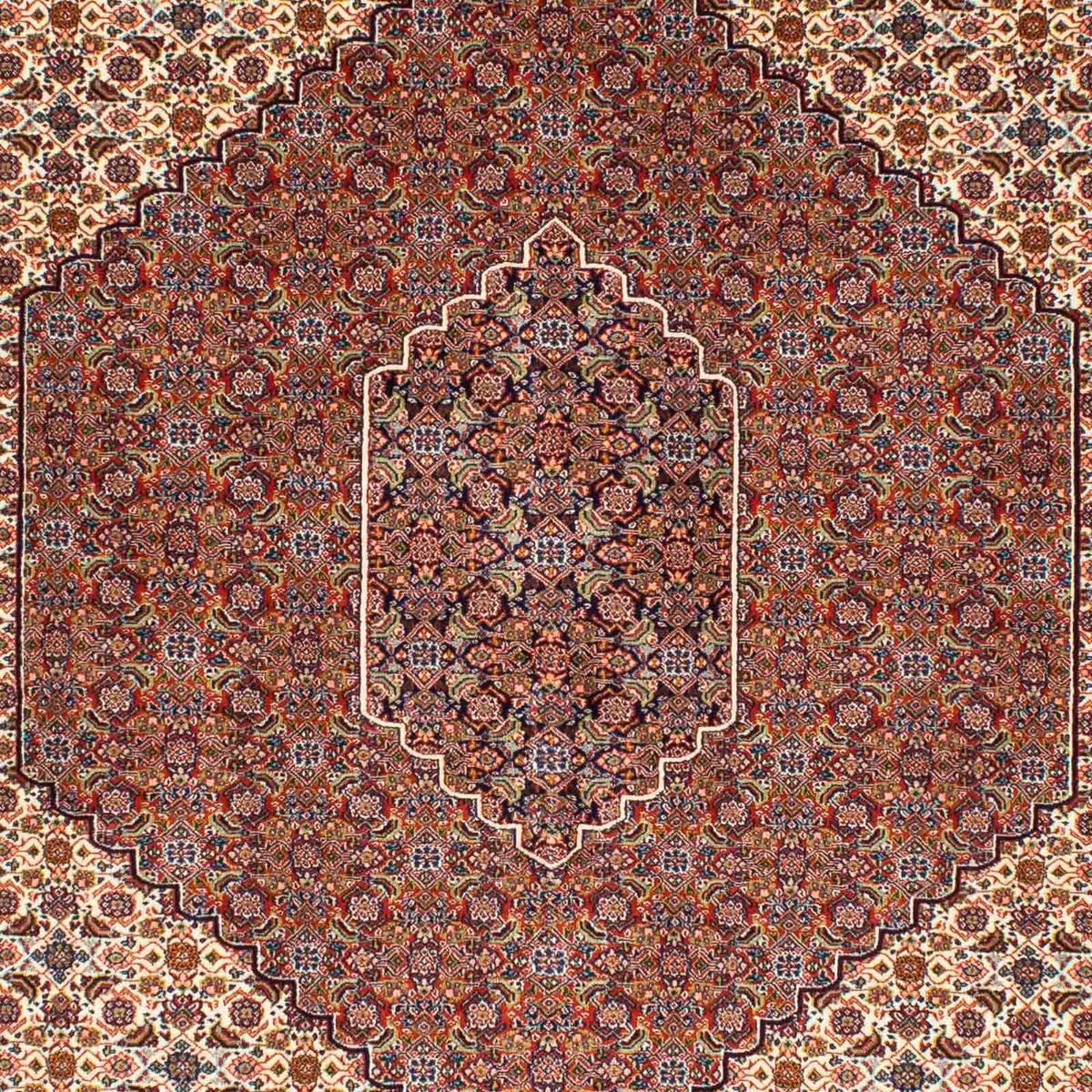 Perser Rug - Nomadic - 250 x 161 cm - brown