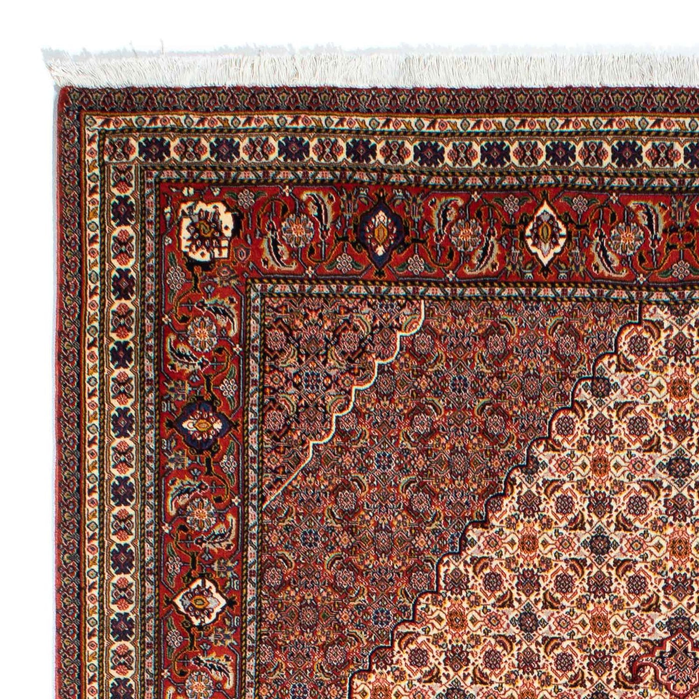 Sarab Rug 262x167cm - Persian Rugs