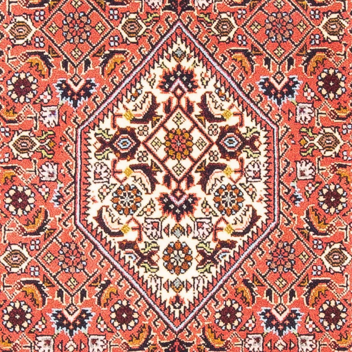 Perser Rug - Bidjar - 150 x 81 cm - light red