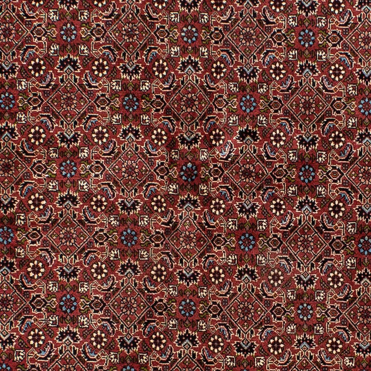 Perser Rug - Bidjar - 205 x 141 cm - dark red