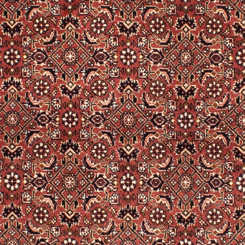 Perser Rug - Bidjar square  - 200 x 195 cm - light red