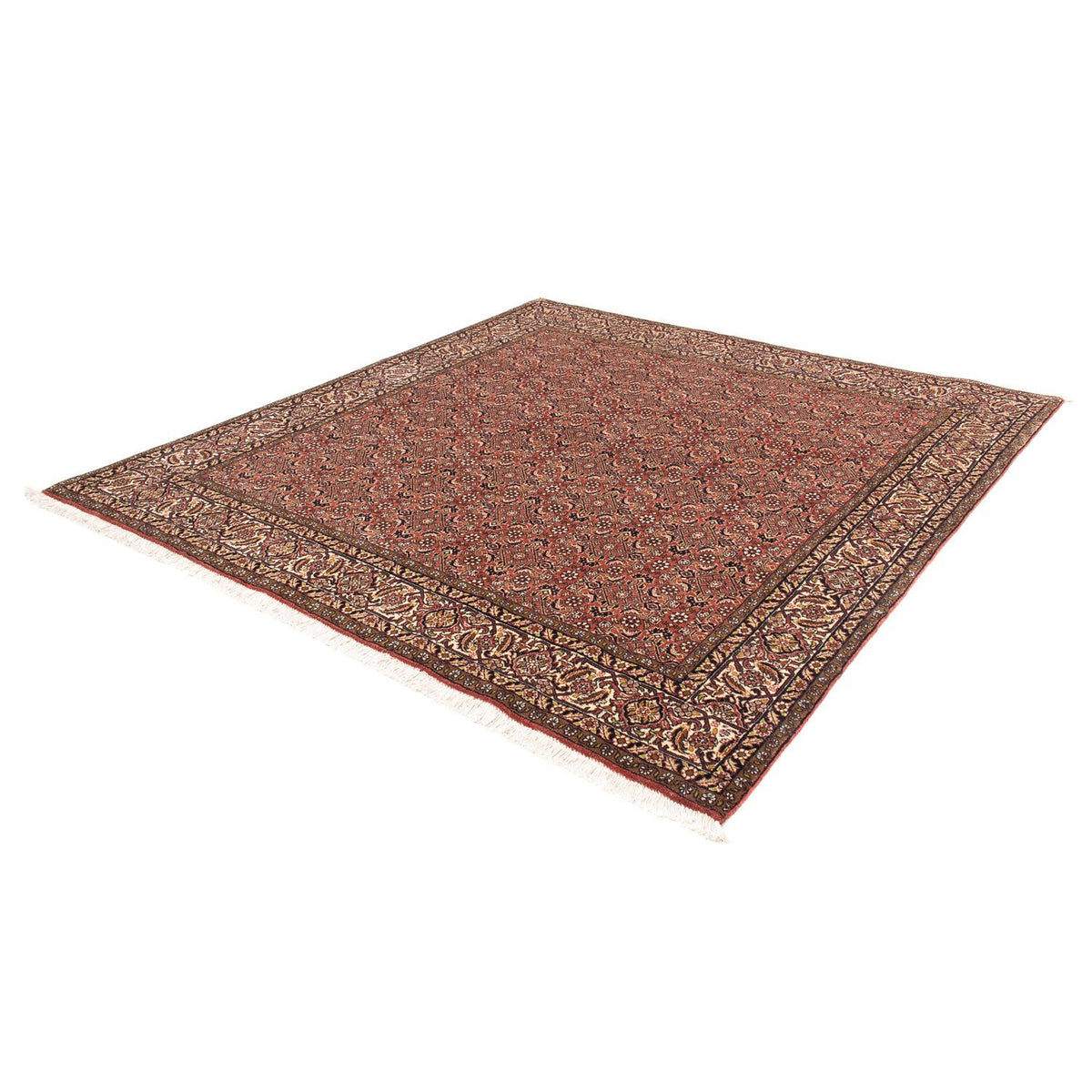 Perser Rug - Bidjar square  - 200 x 195 cm - light red