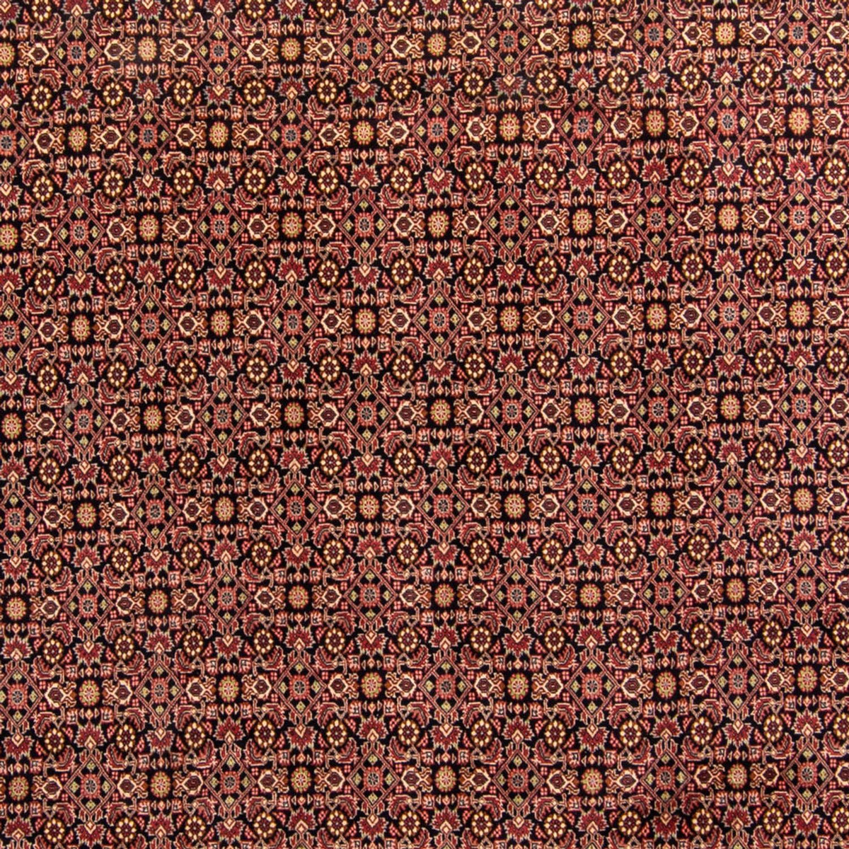 Perser Rug - Bidjar - 343 x 254 cm - brown