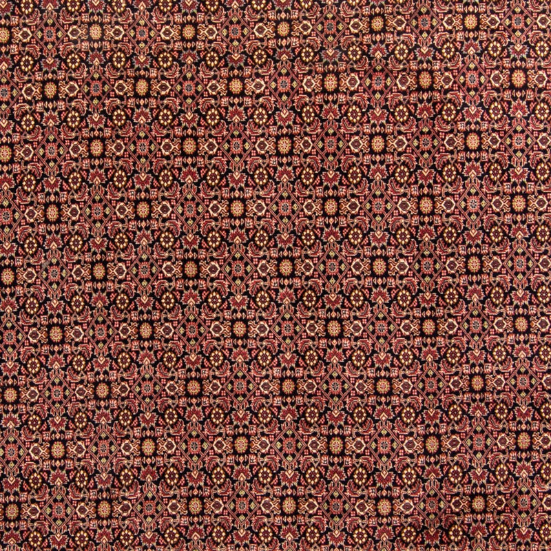 Perser Rug - Bidjar - 343 x 254 cm - brown